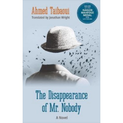 The Disappearance of Mr. Nobody: A Novel