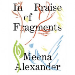 In Praise of Fragments