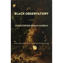 Black Observatory: Poems