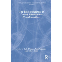 The Role of Business in Global Sustainability Transformations
