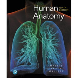 Human Anatomy