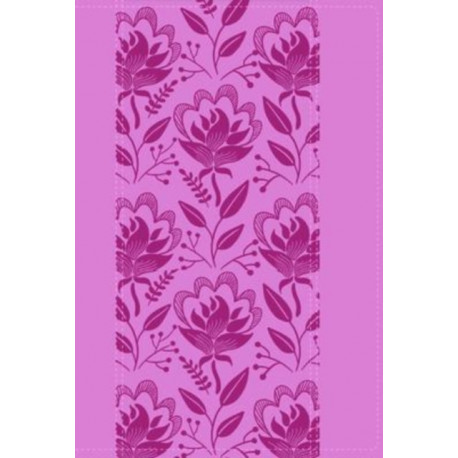 A Woman After God`s Own Heart Bible