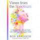Views from the Spectrum – A Window into Life and Faith with Your Neurodivergent Child: A Window Into Life and Faith with Your Neurodivergent Child