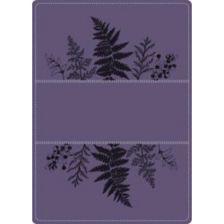 A Young Woman After God`s Own Heart Bible