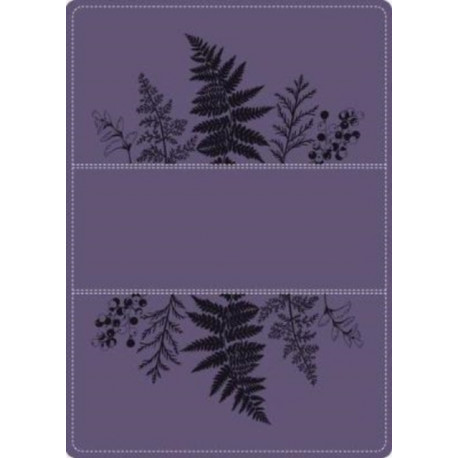 A Young Woman After God`s Own Heart Bible