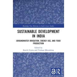 Sustainable Development in India: Groundwater Irrigation, Energy Use, and Food Production
