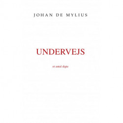 Undervejs: - et antal digte