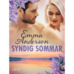 Syndig sommar - erotisk novell