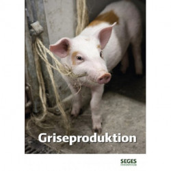 Griseproduktion
