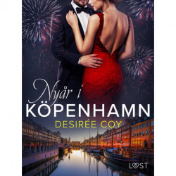 Nyår i Köpenhamn - erotisk romance