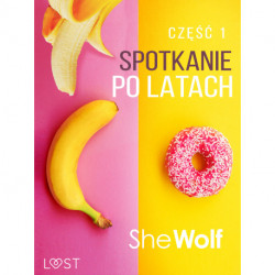 Spotkanie po latach 1 – opowiadanie erotyczne