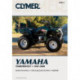 Clymer Yamaha Timberwolf 1989-200