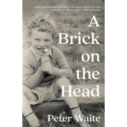 A Brick on the Head