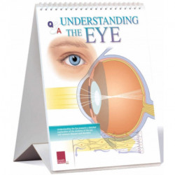 Understanding The Eye Flip Chart