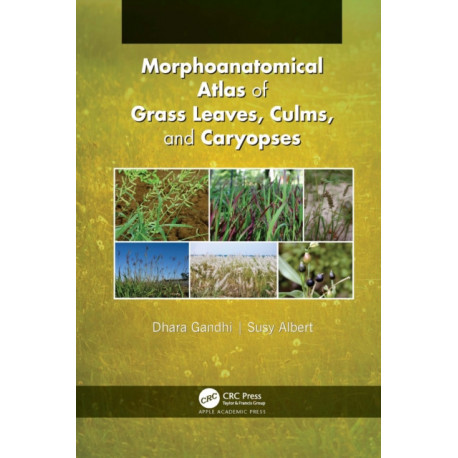 Morphoanatomical Atlas of Grass Leaves, Culms, and Caryopses