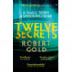 Twelve Secrets: The Sunday Times bestselling thriller everybody is talking about