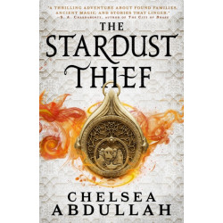 The Stardust Thief: A SPELLBINDING DEBUT FROM FANTASY'S BRIGHTEST NEW STAR