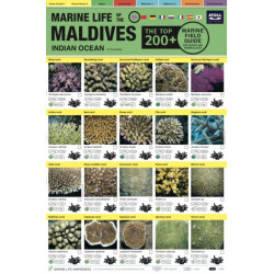 Maldives Marine Life Field Guide: "Top 200+"