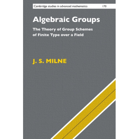 Algebraic Groups: The Theory of Group Schemes of Finite Type over a Field