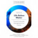 SDG14 - Life Below Water: Towards Sustainable Management of our Oceans