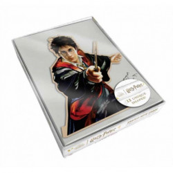 Harry Potter Boxed Die-cut Note Cards