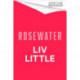Rosewater: the debut novel from Liv Little