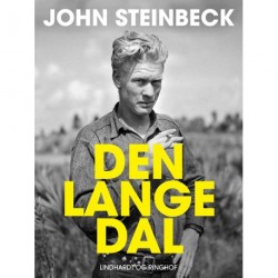Den lange dal