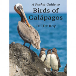 A Pocket Guide to Birds of Galapagos