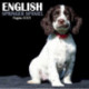 English Springer Spaniel Puppies Mini Square Wall Calendar 2023