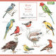 Madeleine Floyd, Birds of the World Square Wall Calendar 2023