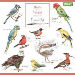 Madeleine Floyd, Birds of the World Square Wall Calendar 2023
