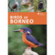 Birds of Borneo