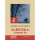 Slægten 6: Ravnens år (Storskrift)