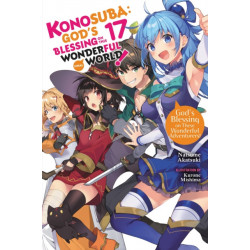 Konosuba: God's Blessing on This Wonderful World!, Vol. 17 (light novel)