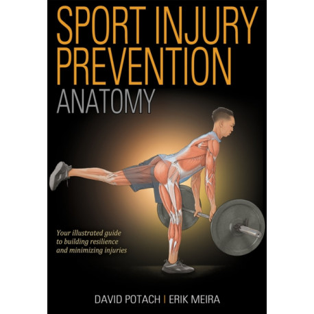 Sport Injury Prevention Anatomy