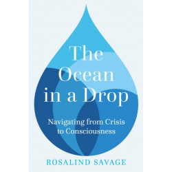 The Ocean in a Drop: Navigating from Crisis to Consciousness