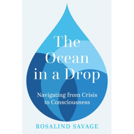 The Ocean in a Drop: Navigating from Crisis to Consciousness