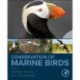 Conservation of Marine Birds