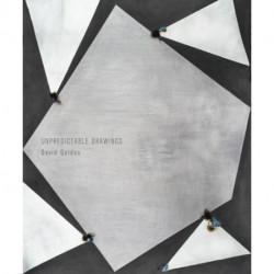 David Goldes: Unpredictable Drawings