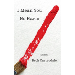 I Mean You No Harm: A Novel