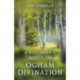 Beginner's Guide to Ogham Divination, A