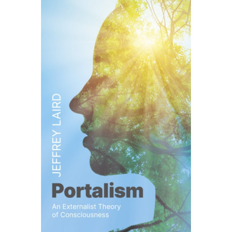 Portalism: An Externalist Theory of Consciousness