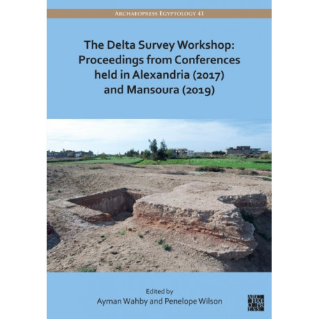 The Delta Survey Workshop: Proceedings from Conferences held in Alexandria (2017) and Mansoura (2019)