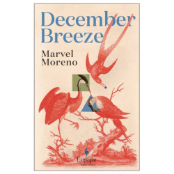 December Breeze: A masterful novel on womanhood in Colombia