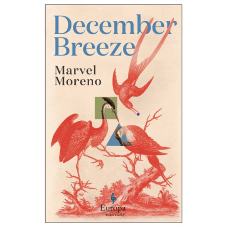 December Breeze: A masterful novel on womanhood in Colombia