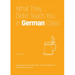What They Didn't Teach You in German Class: Slang Phrases for the Cafe, Club, Bar, Bedroom, Ball Game and More