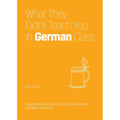 What They Didn't Teach You in German Class: Slang Phrases for the Cafe, Club, Bar, Bedroom, Ball Game and More