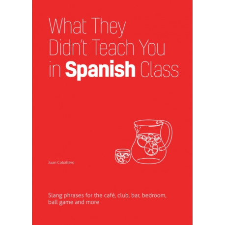 What They Didn't Teach You In Spanish Class: Slang Phrases for the Cafe, Club, Bar, Bedroom, Ball Game and More