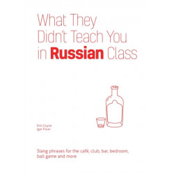 What They Didn't Teach You in Russian Class: Slang Phrases for the Cafe, Club, Bar, Bedroom, Ball Game and More