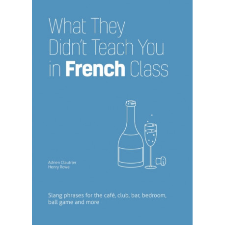 What They Didn't Teach You in French Class: Slang Phrases for the Cafe, Club, Bar, Bedroom, Ball Game and More